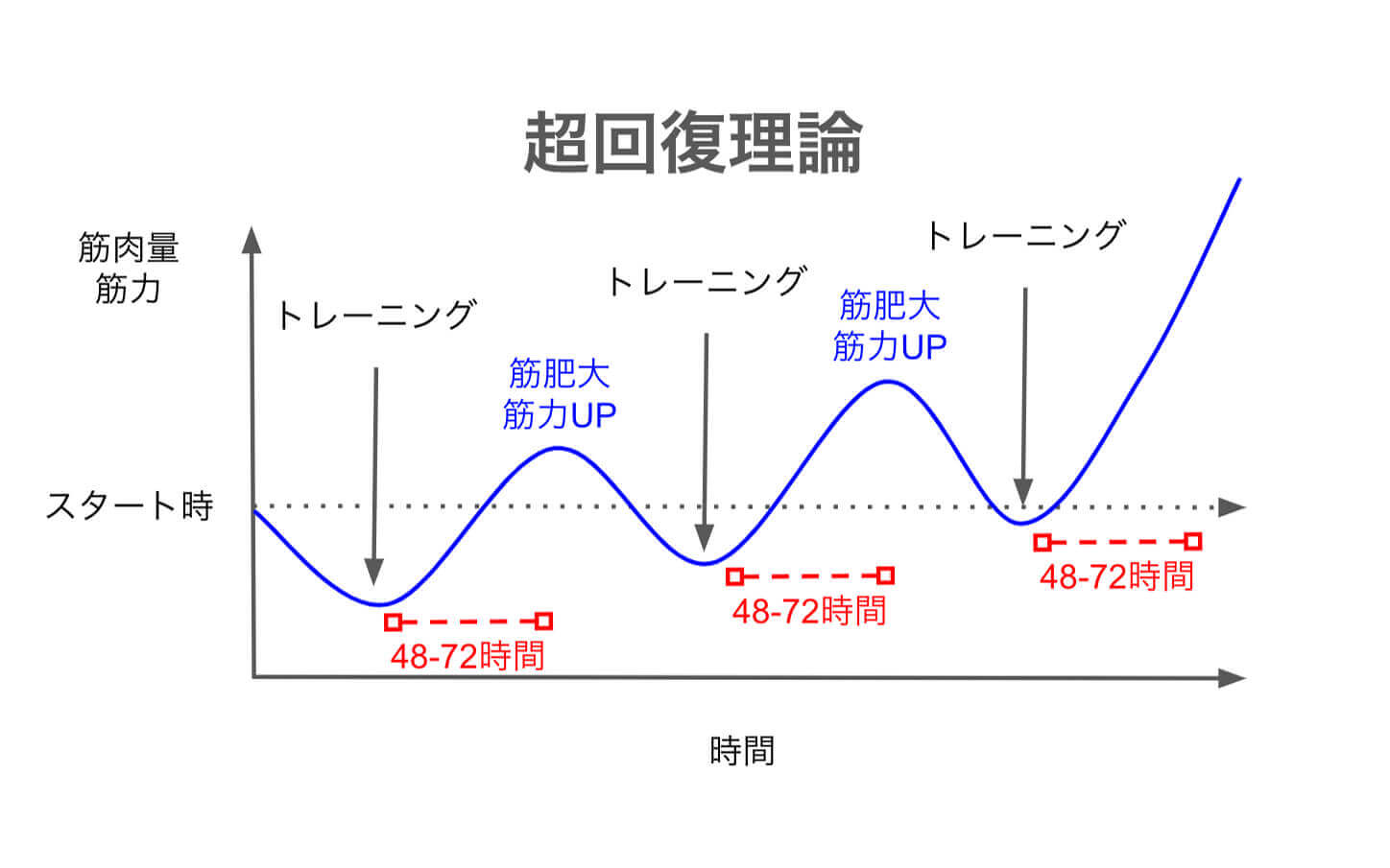 超回復部位別時間 – 超回復 図 – LBFQ