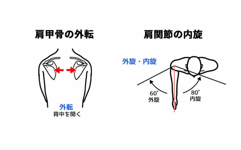 肩甲骨の外転と肩関節の内旋